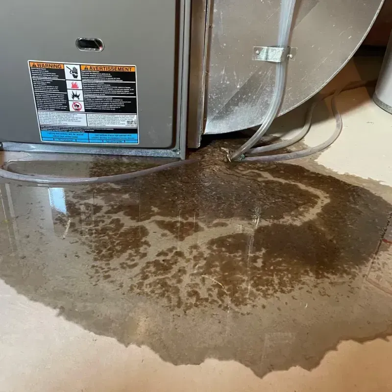 Appliance Leak Cleanup in Northridge, CA